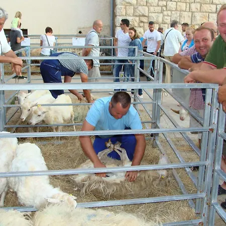 Appartement Adriatic Romance