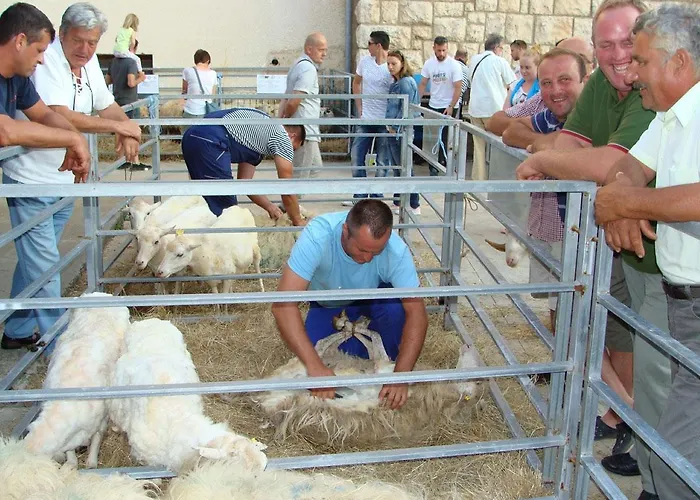 Apartment Adriatic Romance